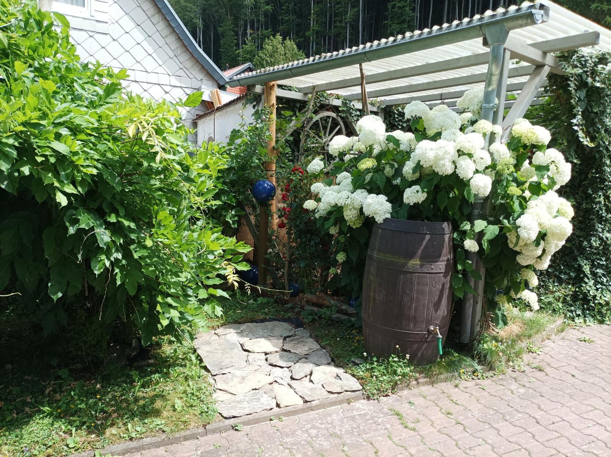 Fewo ,,An Der Kleinen Wilde" Stolberg i. Harz Esterno foto